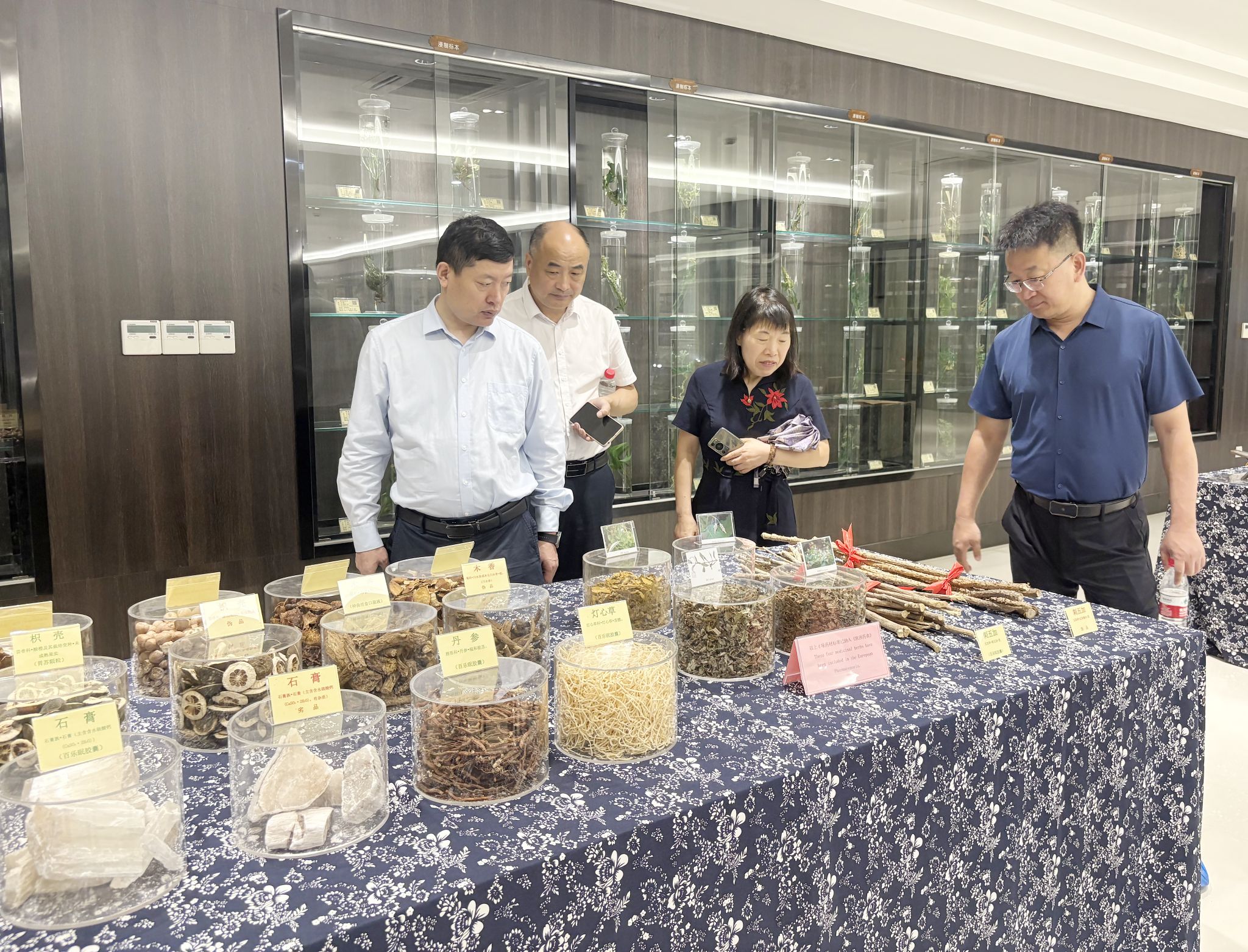 0dcb291d6c41d6935a5227139438a8b 0dcb291d6c41d6935a5227139438a8b